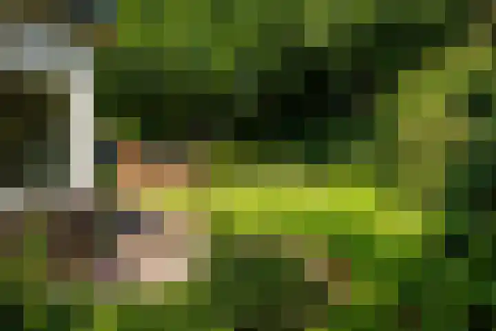 Ferdinand Huycklaan 6 Baarn thumbnail 24