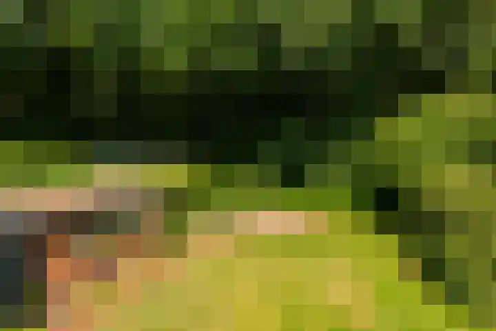Ferdinand Huycklaan 6 Baarn thumbnail 25
