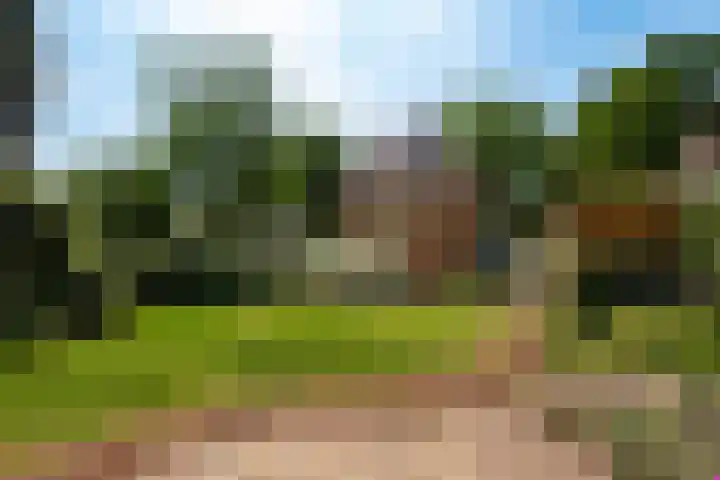 Ferdinand Huycklaan 6 Baarn thumbnail 26