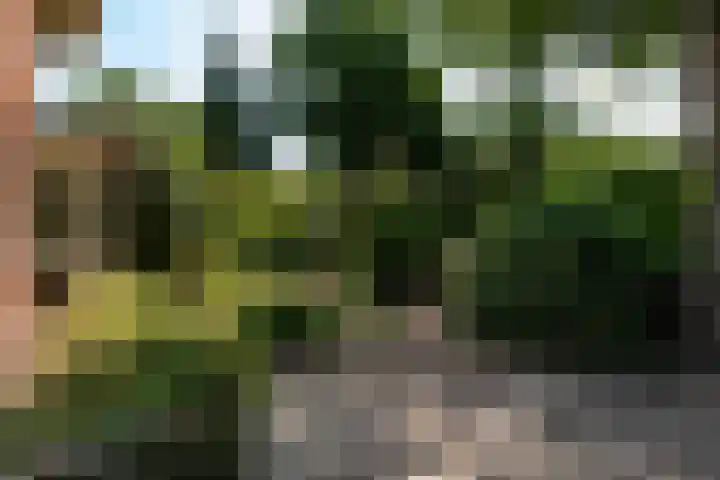 Ferdinand Huycklaan 6 Baarn thumbnail 28
