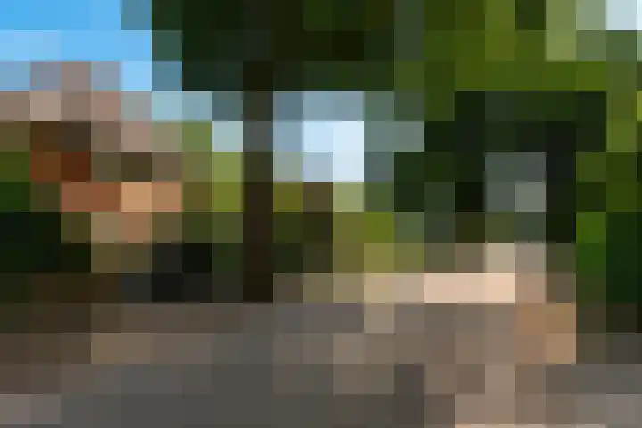 Ferdinand Huycklaan 6 Baarn thumbnail 30