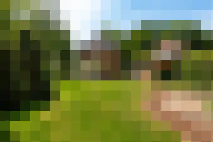 Ferdinand Huycklaan 6 Baarn thumbnail 4