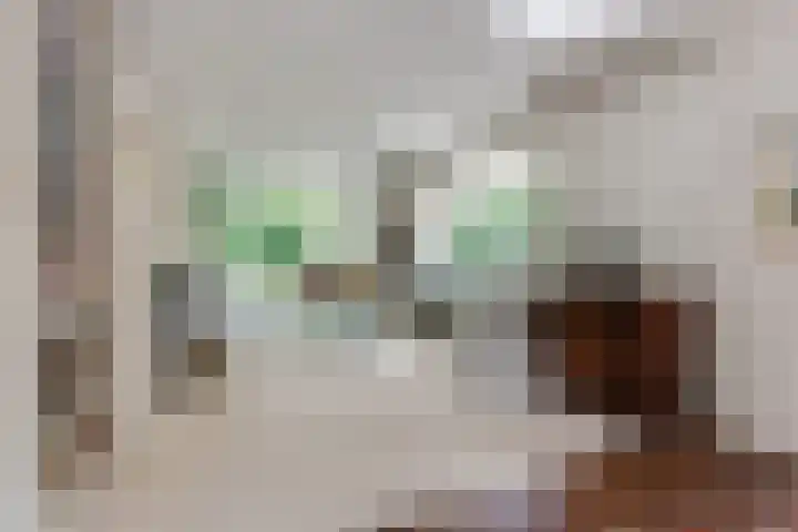 Ferdinand Huycklaan 6 Baarn thumbnail 7