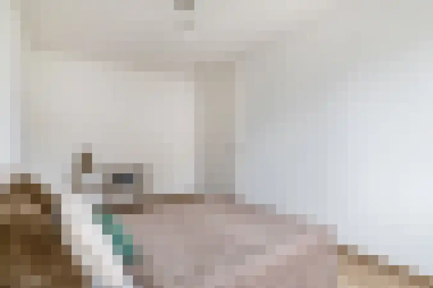 Ferdinand Huyckstraat 1 Eindhoven thumbnail 28
