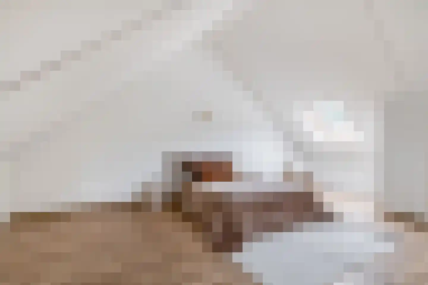 Ferdinand Huyckstraat 1 Eindhoven thumbnail 38