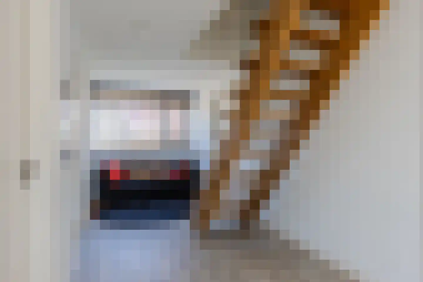 Ferdinand Huyckstraat 3 Oosterhout thumbnail 20