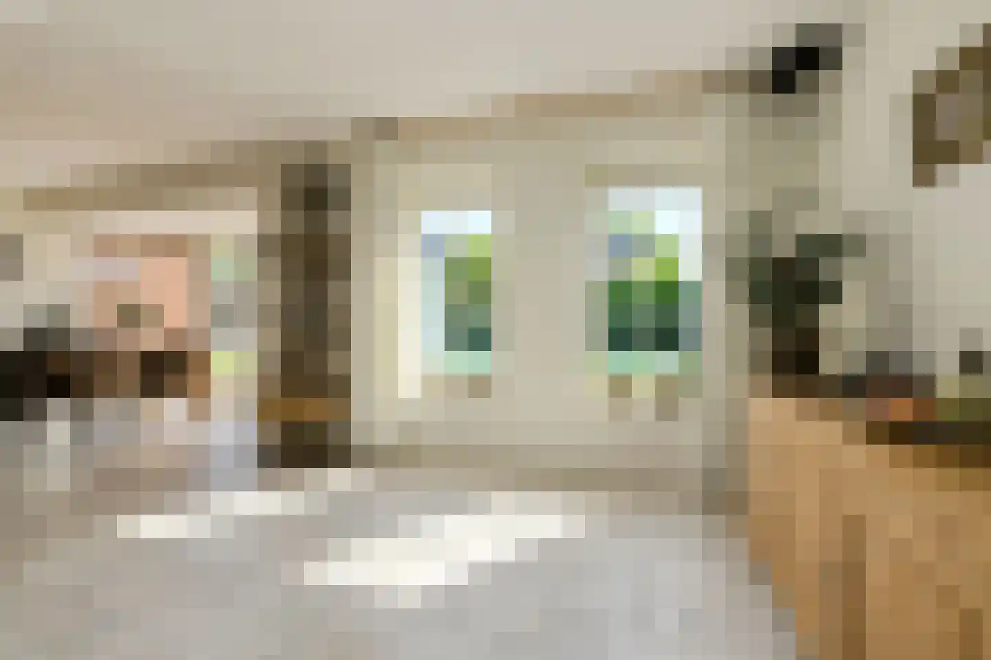 Ferdinand Huyckstraat 5 Oosterhout thumbnail 13