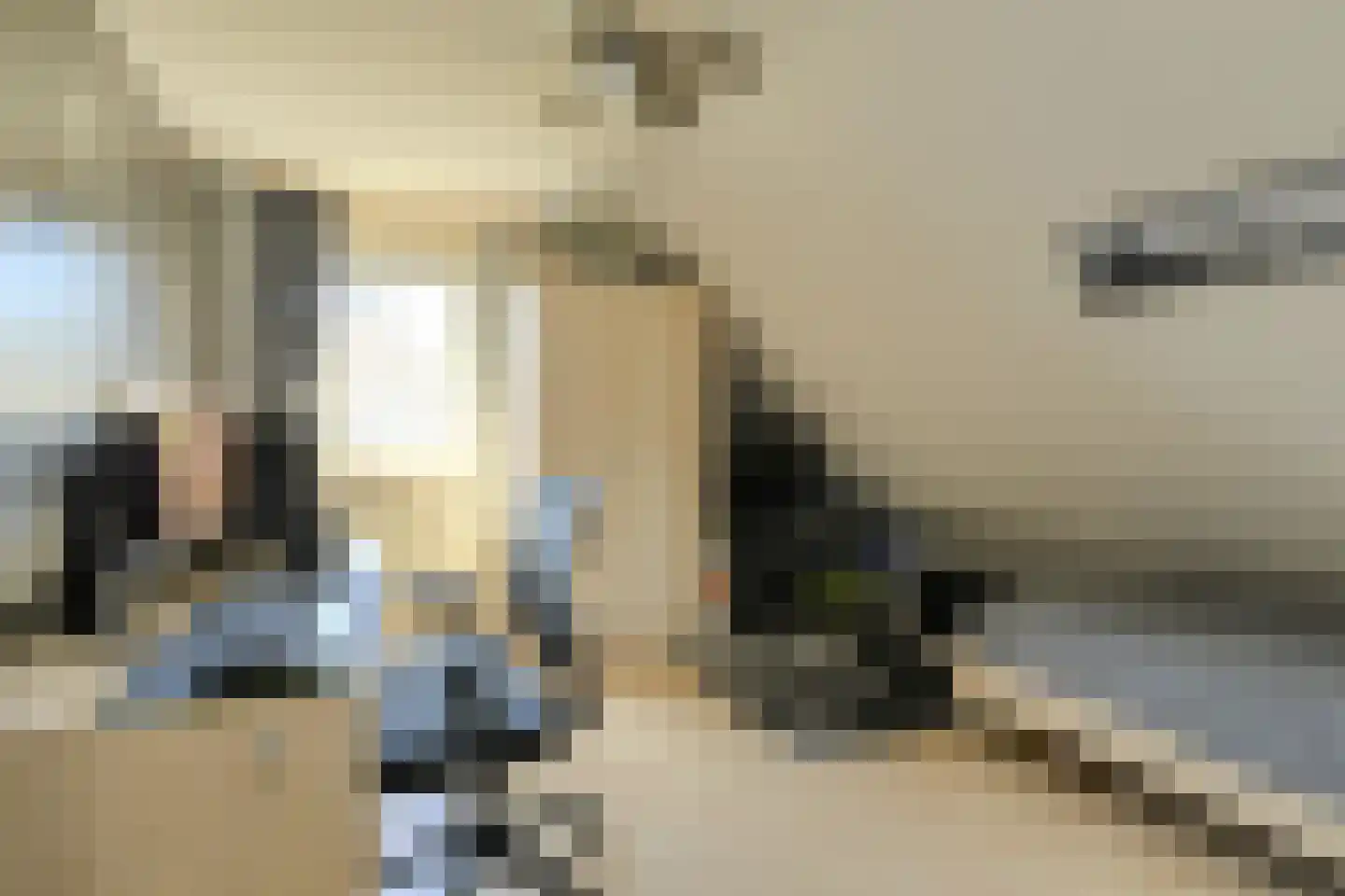 Ferdinand Huyckstraat 5 Oosterhout thumbnail 31