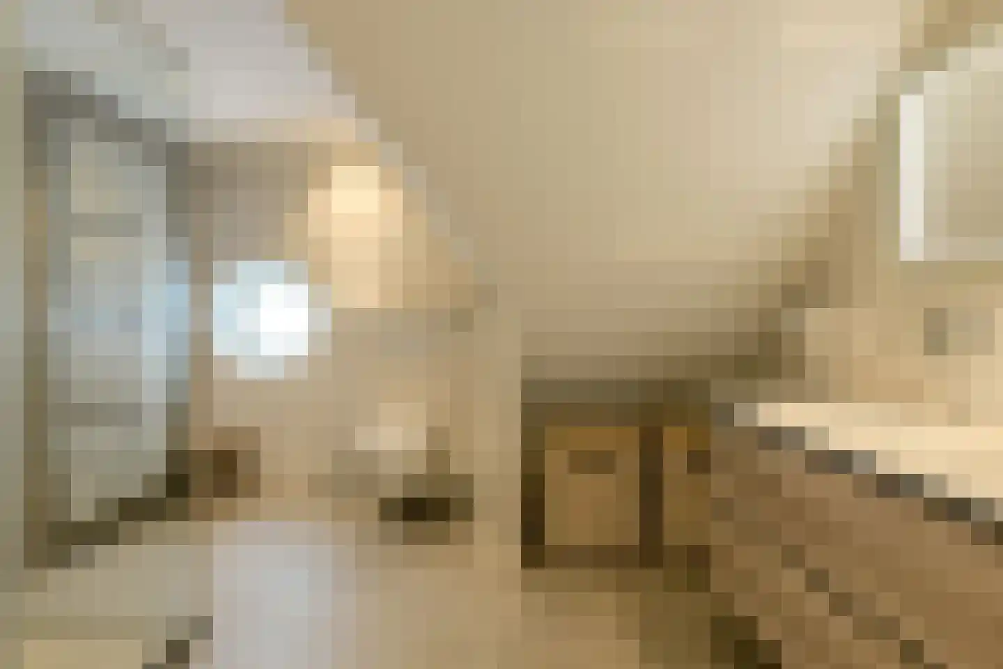 Ferdinand Huyckstraat 5 Oosterhout thumbnail 33