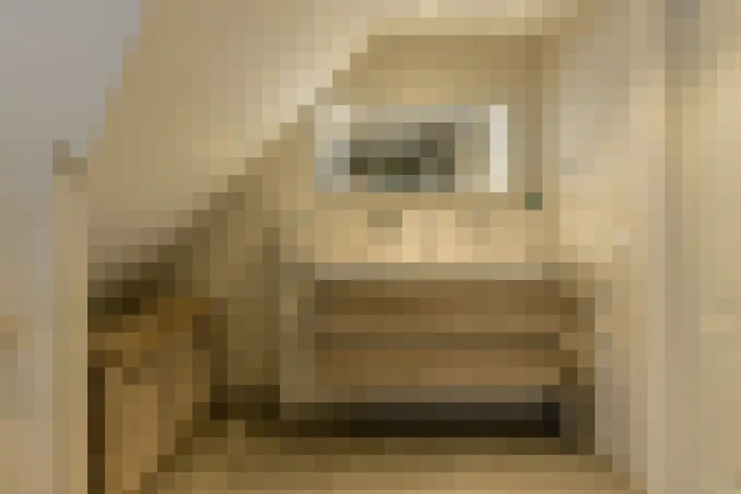 Ferdinand Huyckstraat 5 Oosterhout thumbnail 35