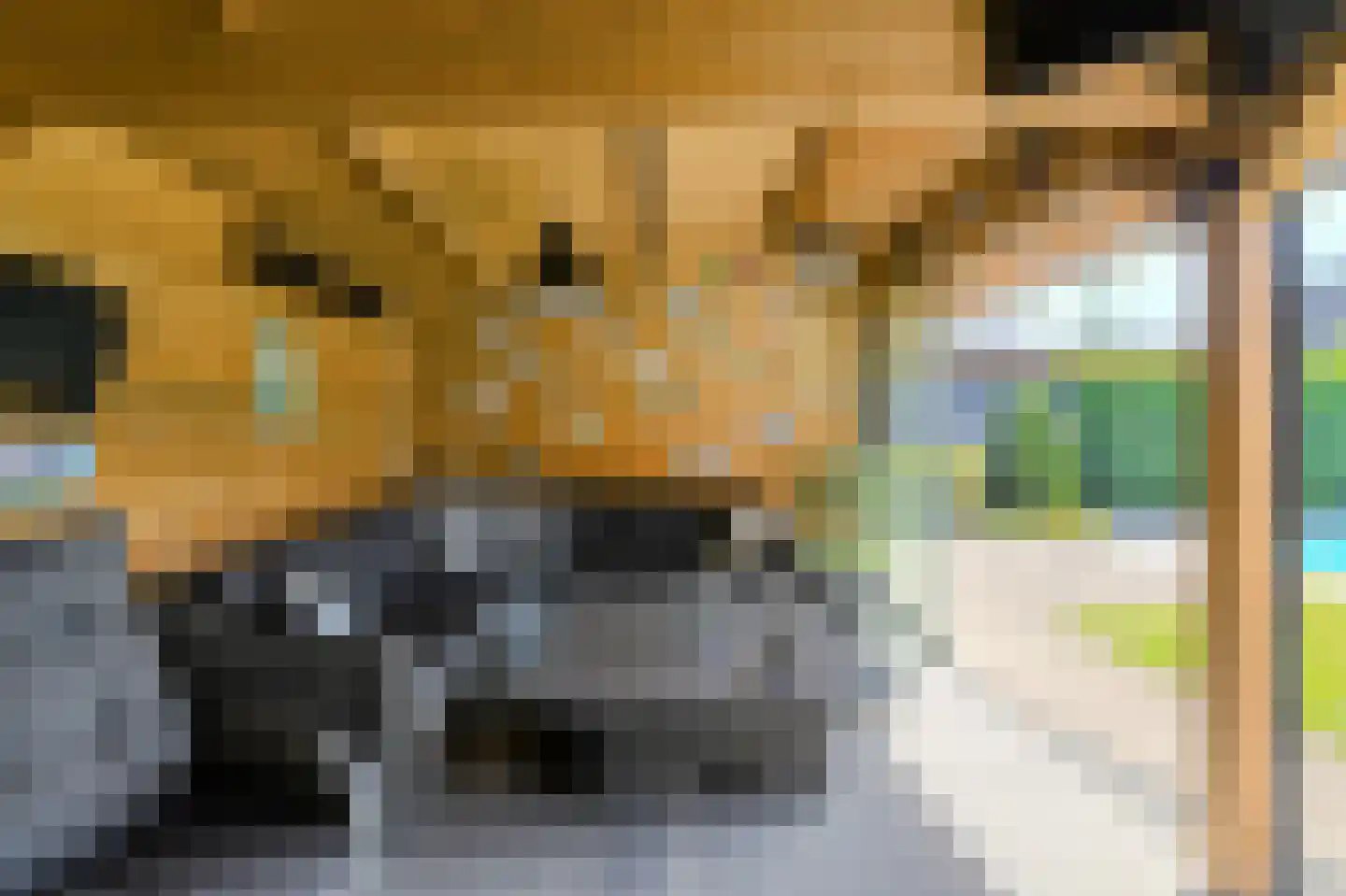Ferdinand Huyckstraat 5 Oosterhout thumbnail 41