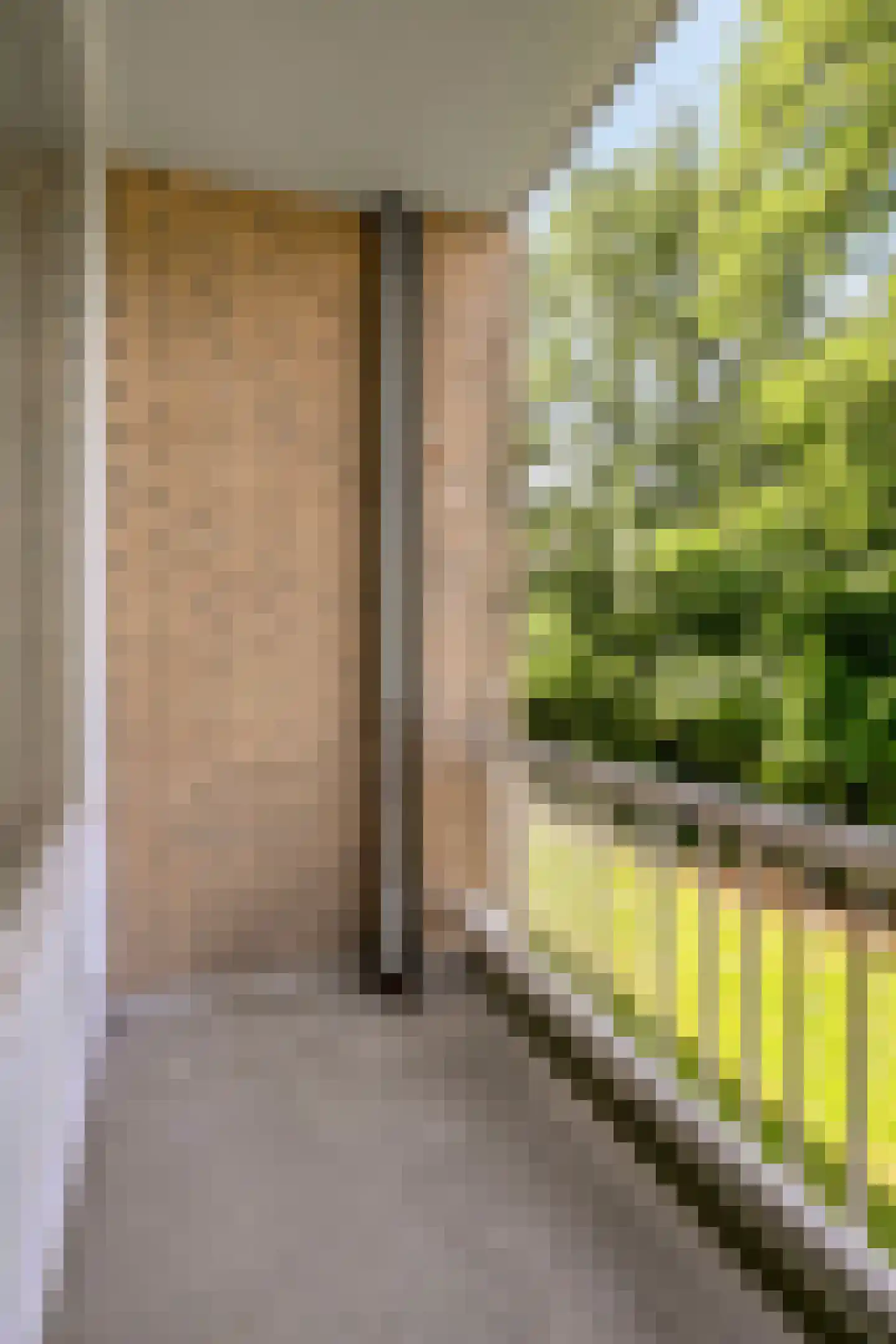 Ferdinandus Gomes Alemanstraat 26 Middelburg thumbnail 11