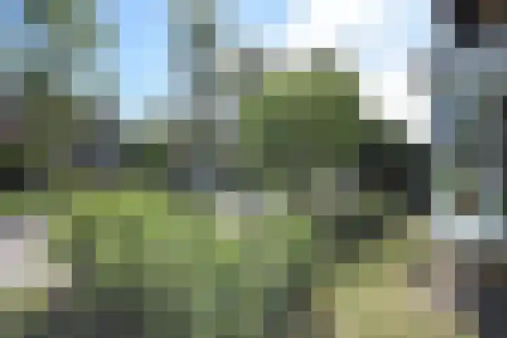 Ferfstraat 17 Burgum thumbnail 7