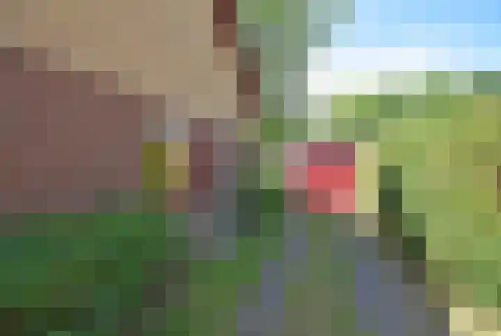 Ferfstraat 17 Burgum thumbnail 8