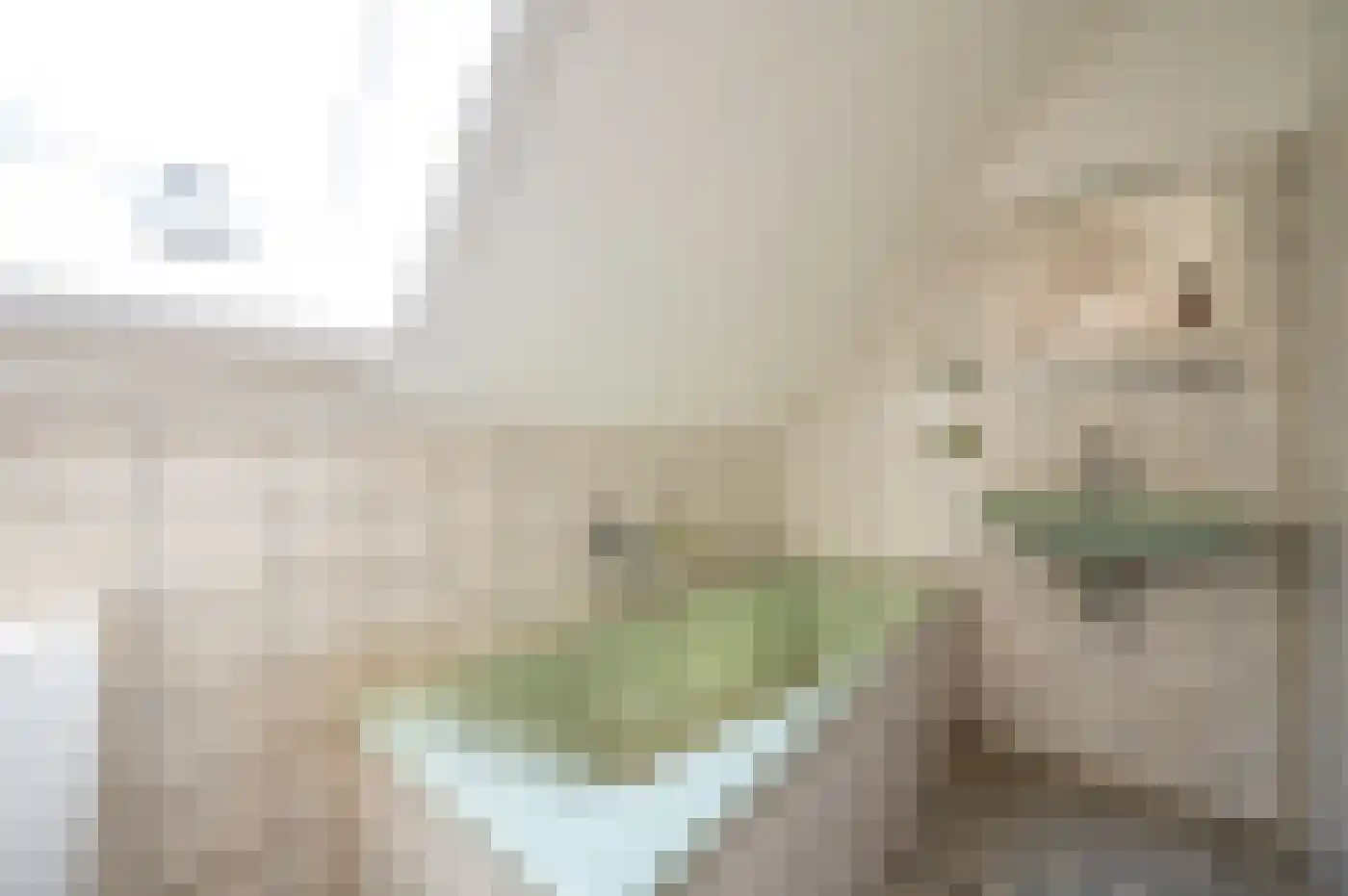 Ferguutgaarde 106 Apeldoorn thumbnail 38