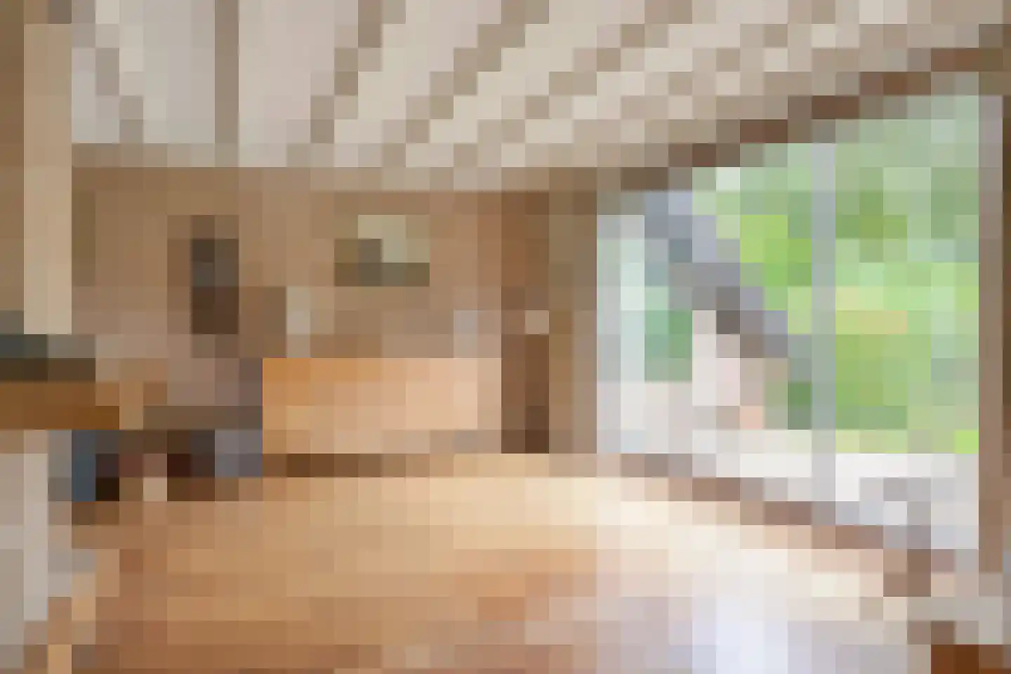 Ferguutgaarde 24 Apeldoorn thumbnail 11