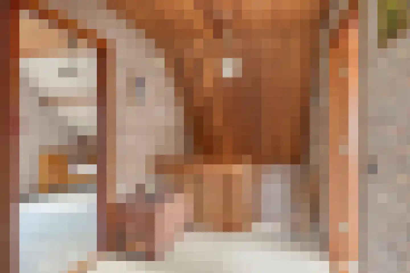 Ferguutgaarde 24 Apeldoorn thumbnail 17
