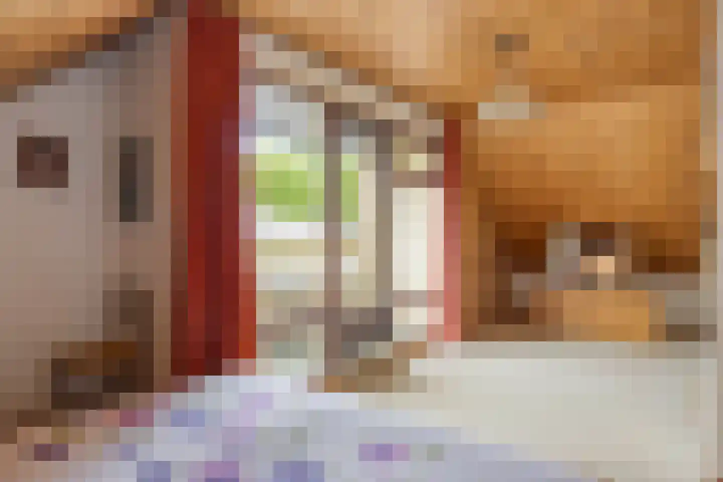 Ferguutgaarde 24 Apeldoorn thumbnail 18