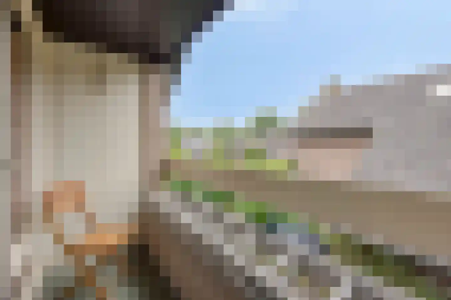 Ferguutgaarde 24 Apeldoorn thumbnail 20