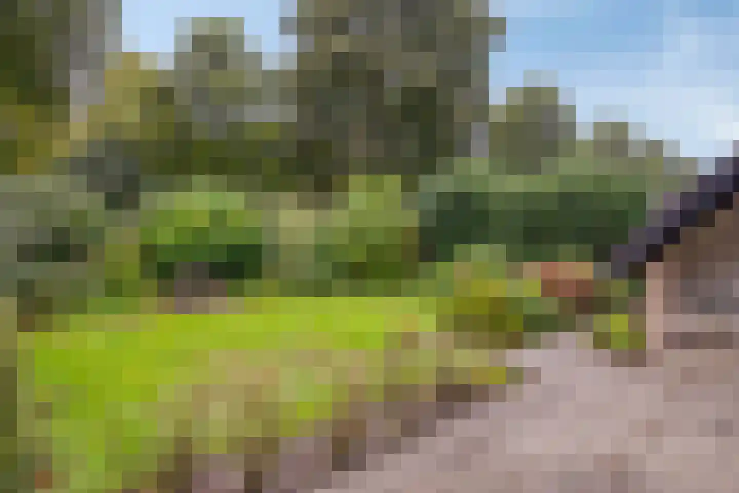 Ferguutgaarde 24 Apeldoorn thumbnail 25
