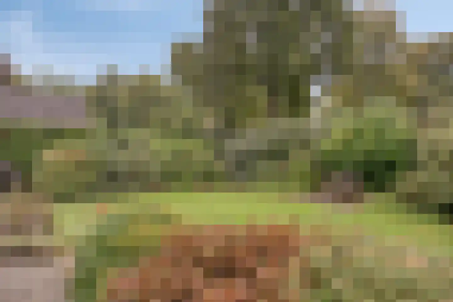 Ferguutgaarde 24 Apeldoorn thumbnail 29