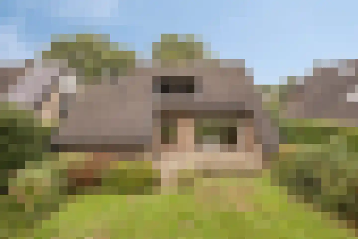 Ferguutgaarde 24 Apeldoorn thumbnail 30