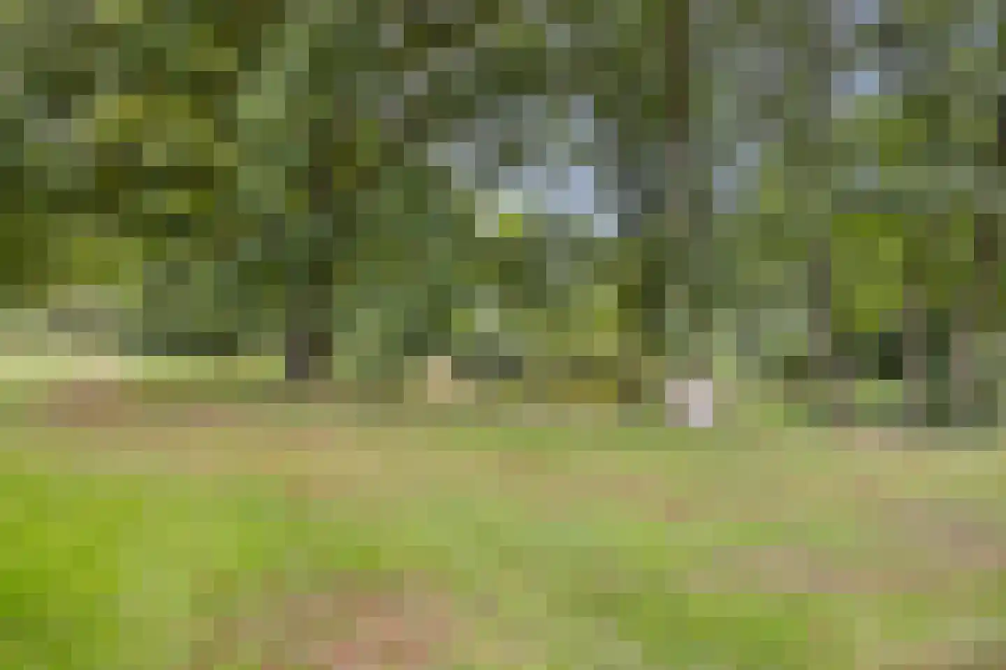 Ferguutgaarde 24 Apeldoorn thumbnail 36