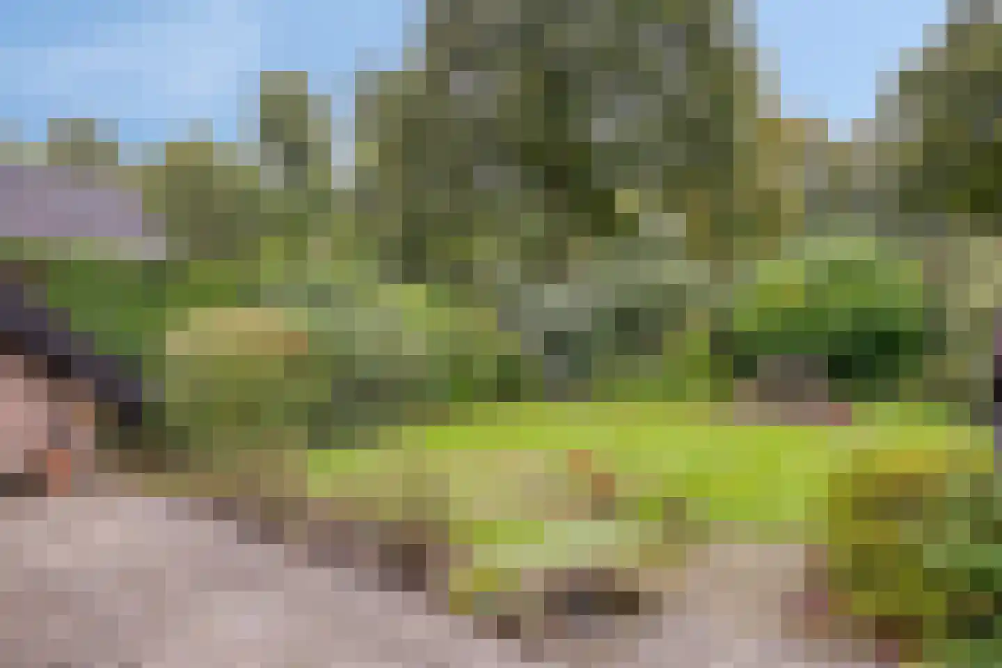 Ferguutgaarde 24 Apeldoorn thumbnail 4