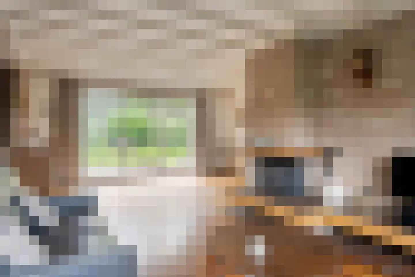 Ferguutgaarde 24 Apeldoorn thumbnail 6