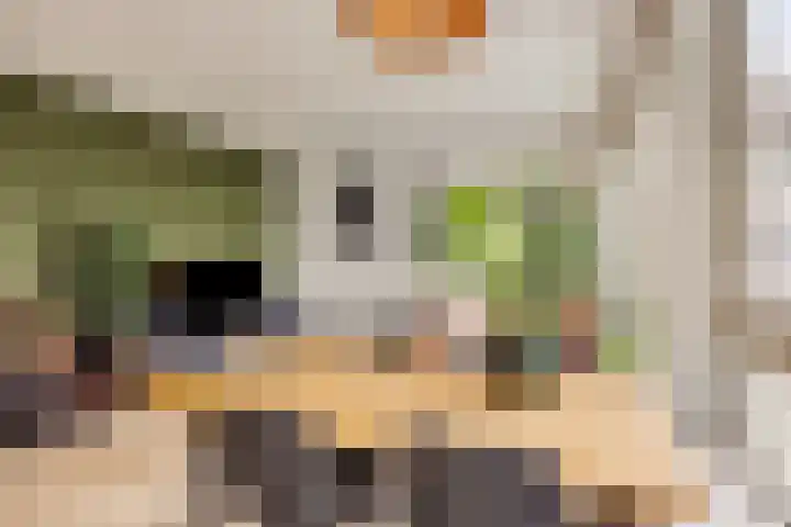 Ferguutstraat 7 2 Amsterdam thumbnail 15