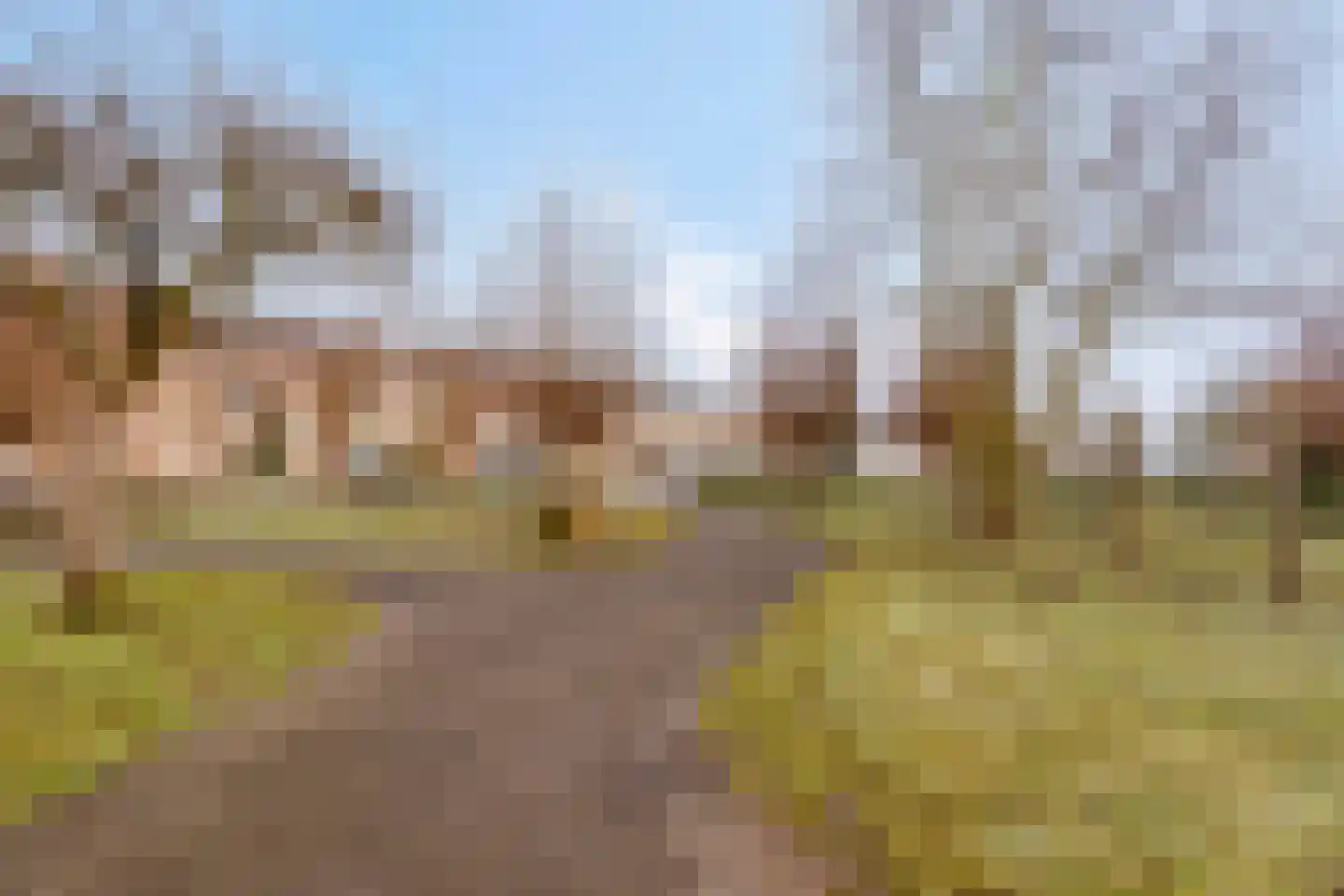 Ferguutstraat 7 2 Amsterdam thumbnail 36