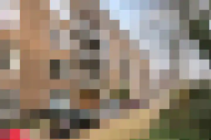 Ferguutstraat 7 2 Amsterdam thumbnail 5