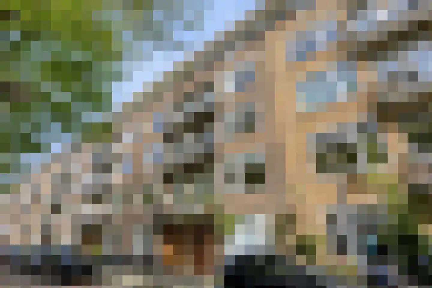 Ferguutstraat 8 3 Amsterdam thumbnail 31