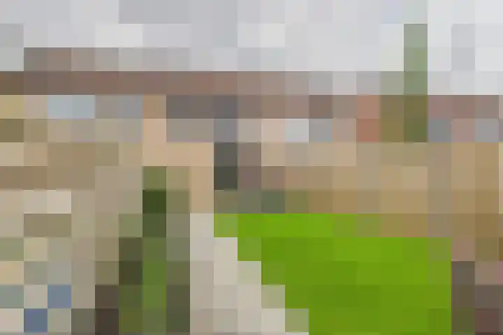 Ferlemanstraat 104 Terneuzen thumbnail 32