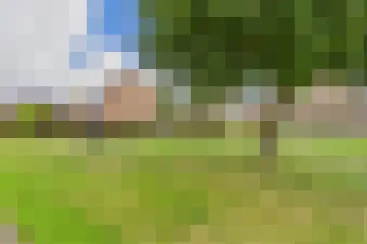 Ferlemanstraat 104 Terneuzen thumbnail 35