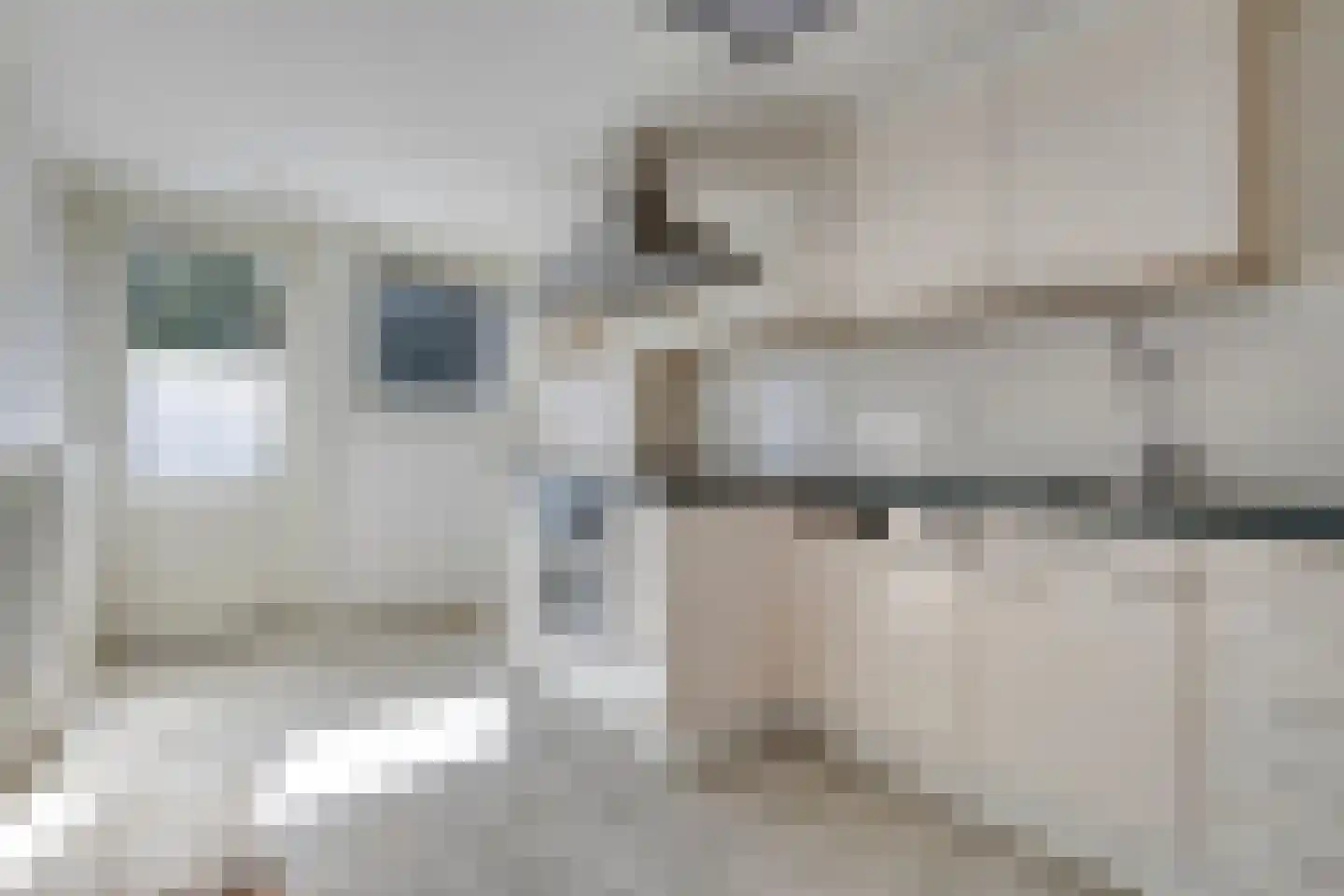 Ferlemanstraat 5 Terneuzen thumbnail 11