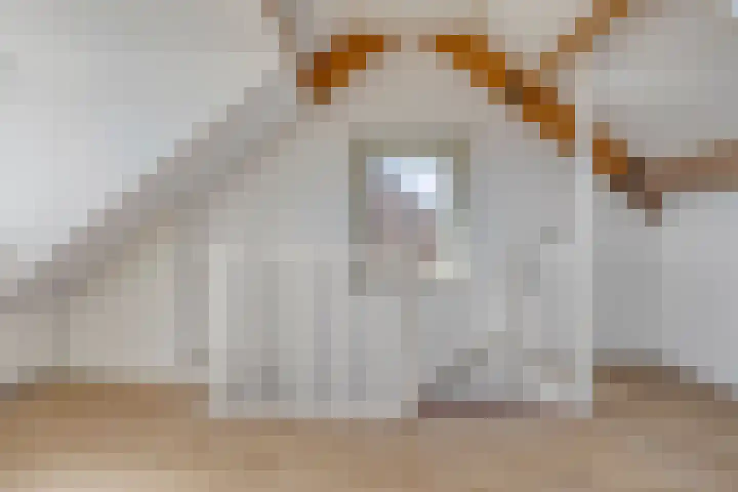 Ferlemanstraat 5 Terneuzen thumbnail 24