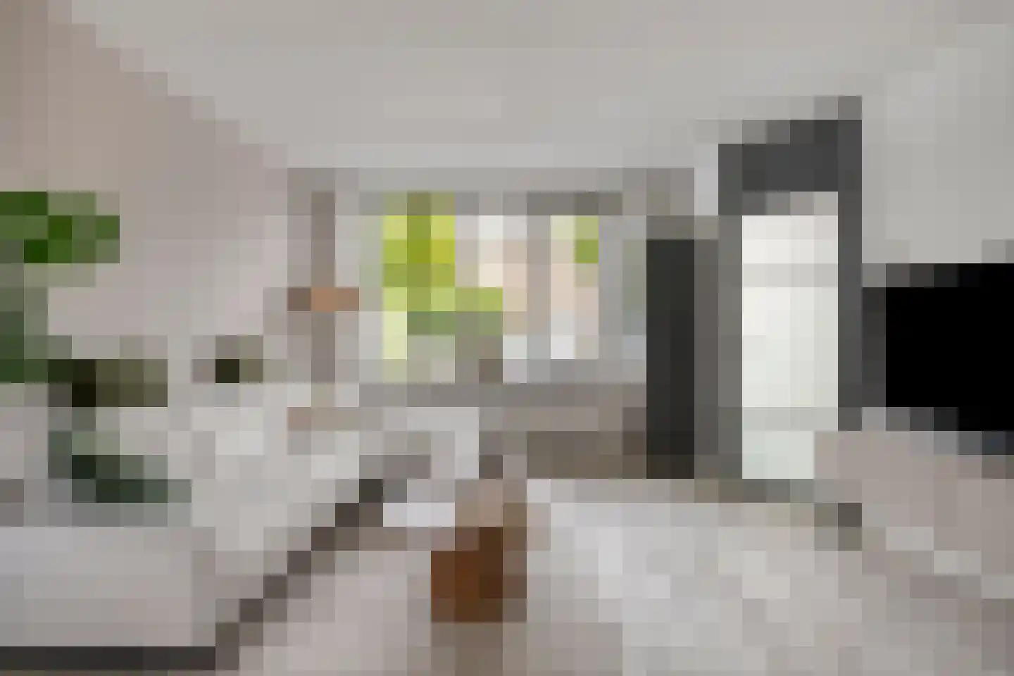 Ferlemanstraat 86 Terneuzen thumbnail 13