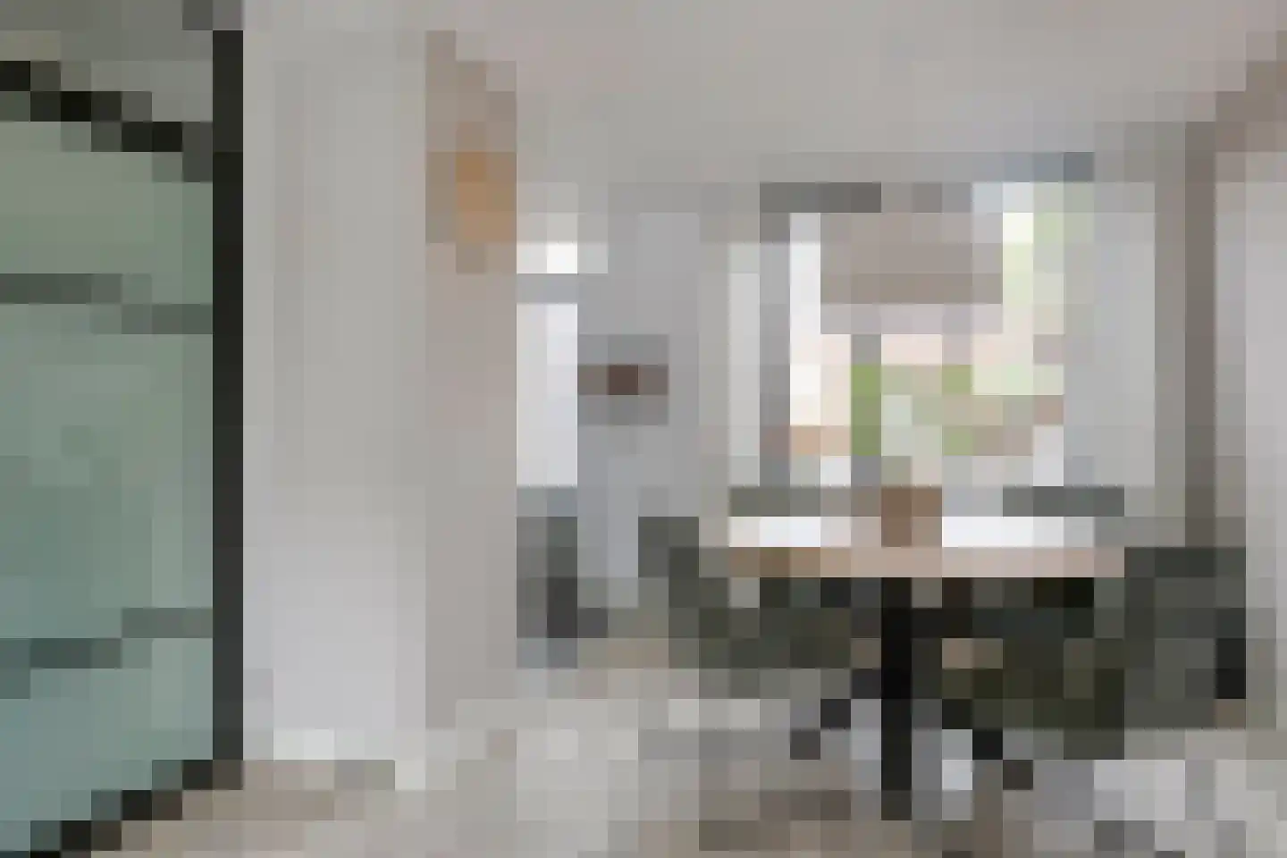 Ferlemanstraat 86 Terneuzen thumbnail 15
