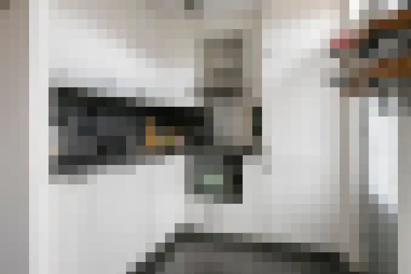 Ferlemanstraat 86 Terneuzen thumbnail 16