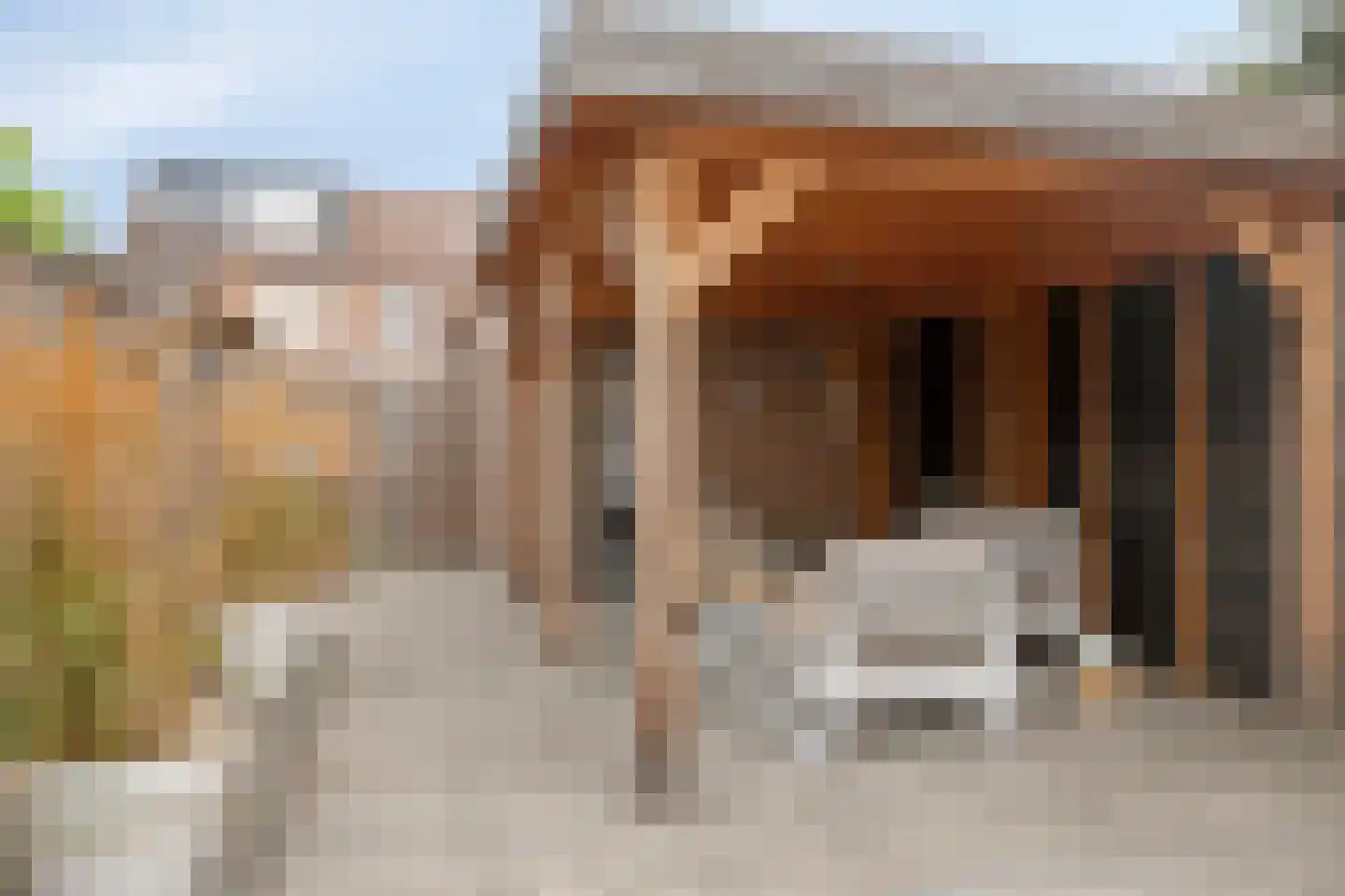 Ferlemanstraat 86 Terneuzen thumbnail 33