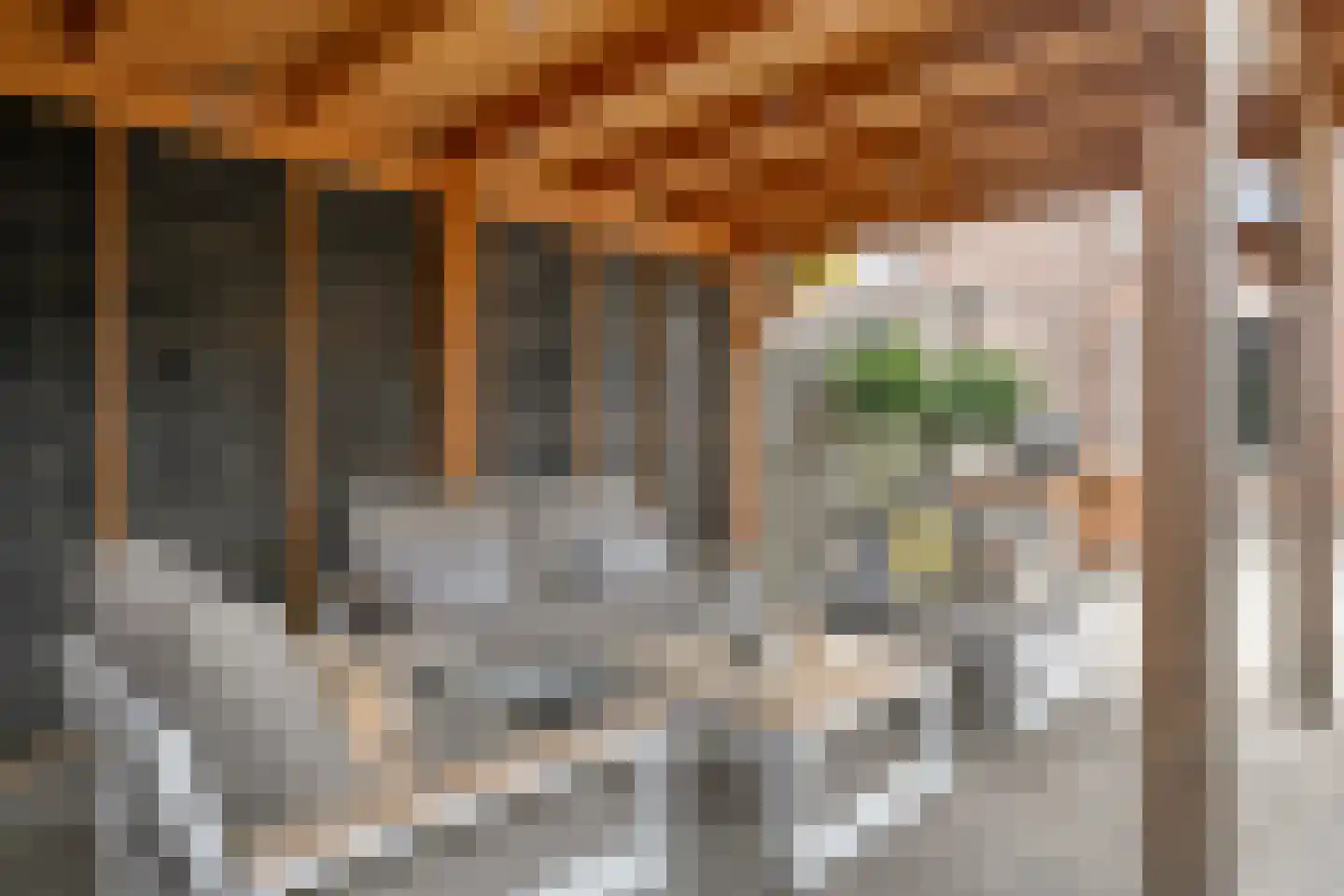 Ferlemanstraat 86 Terneuzen thumbnail 34