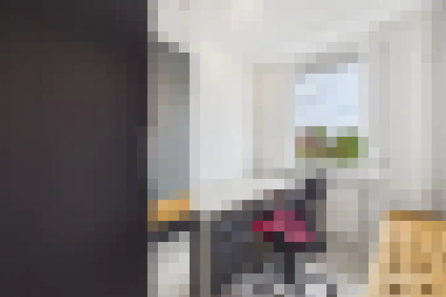 Ferlemanstraat 90 Terneuzen thumbnail 25