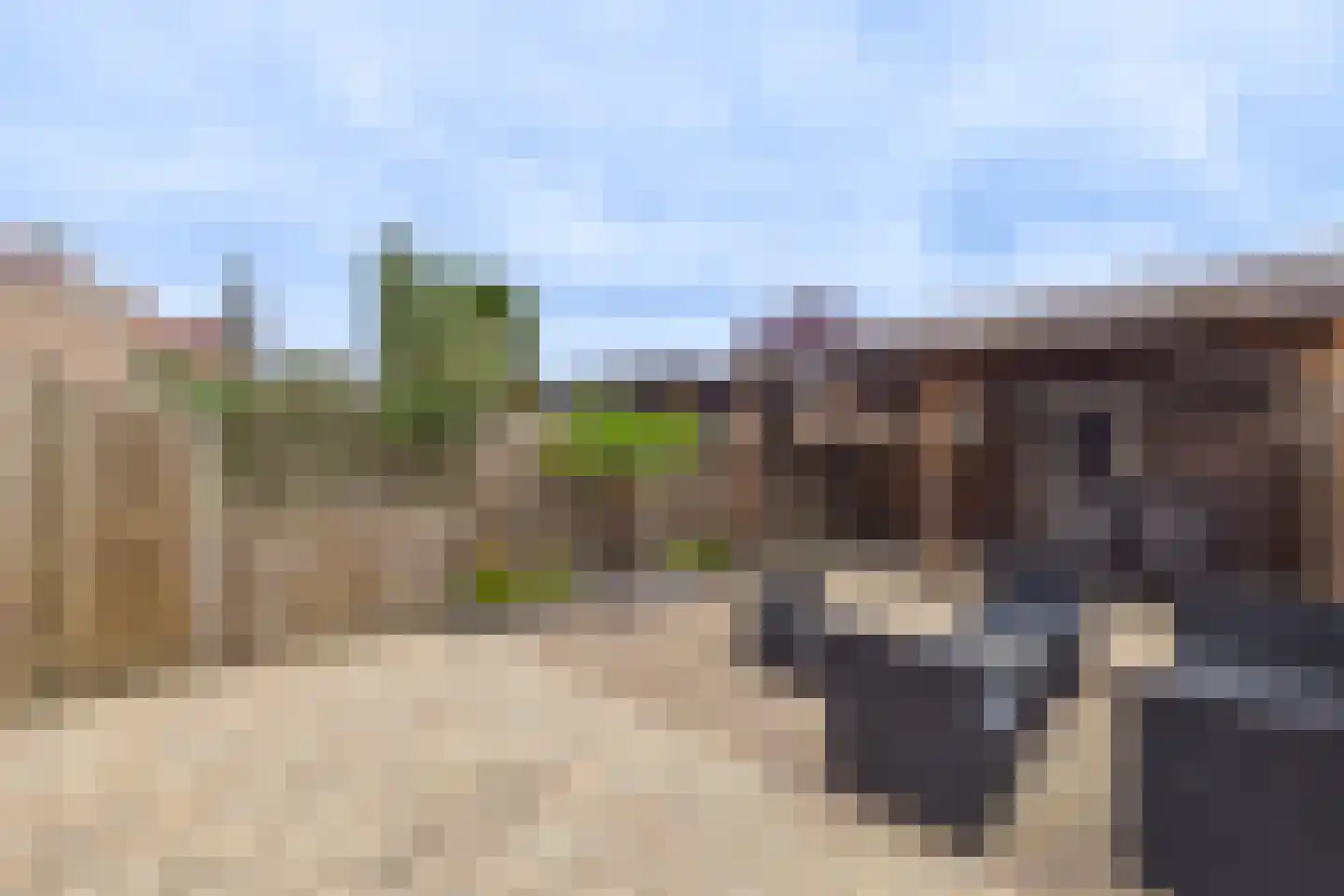 Ferlemanstraat 90 Terneuzen thumbnail 30