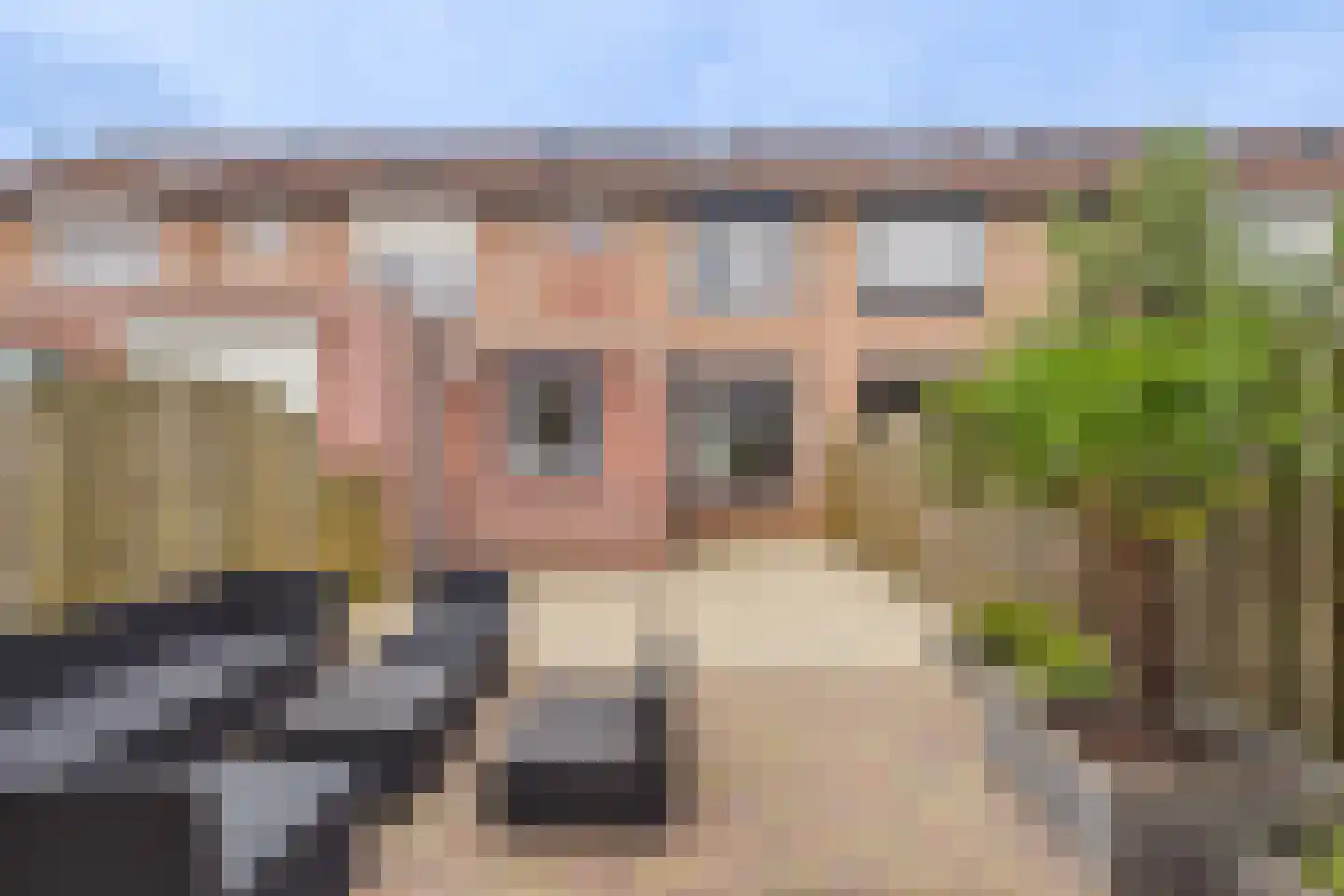 Ferlemanstraat 90 Terneuzen thumbnail 4