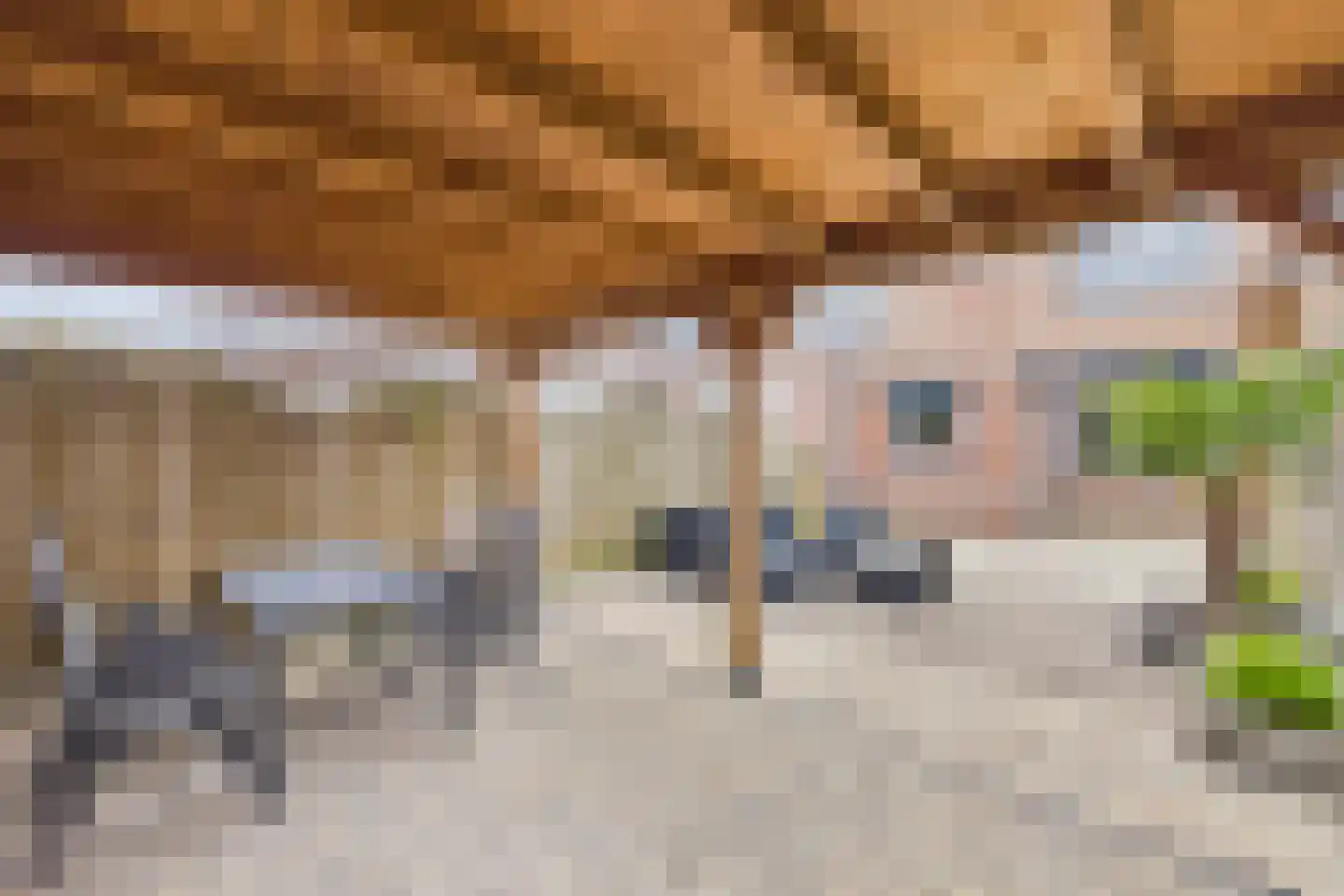 Ferlemanstraat 90 Terneuzen thumbnail 5