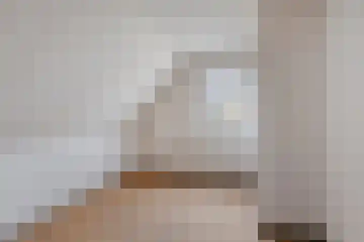 Ferlinge Stasjonsstrjitte 15 De Westereen thumbnail 18