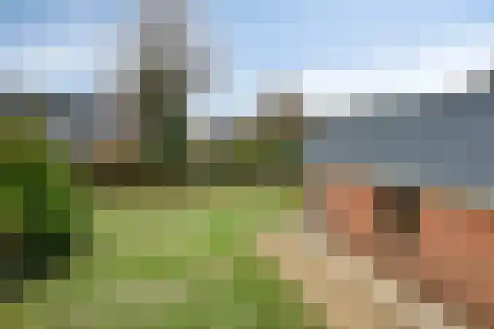 Ferlinge Stasjonsstrjitte 15 De Westereen thumbnail 24