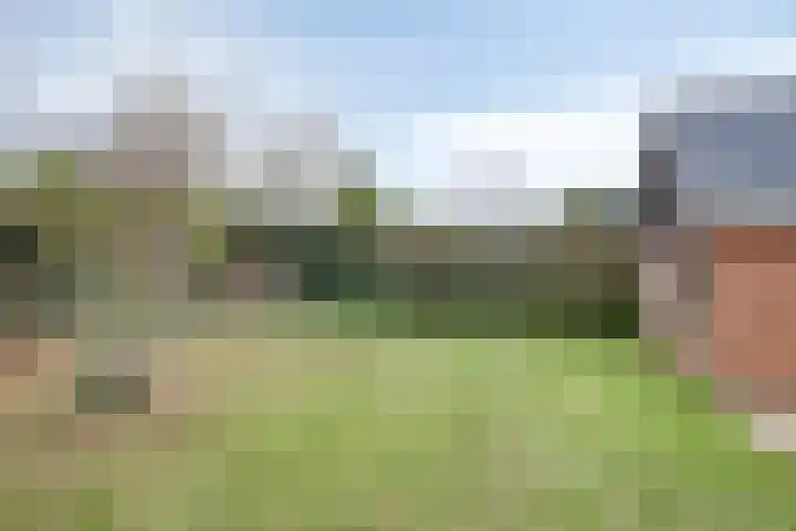 Ferlinge Stasjonsstrjitte 15 De Westereen thumbnail 28