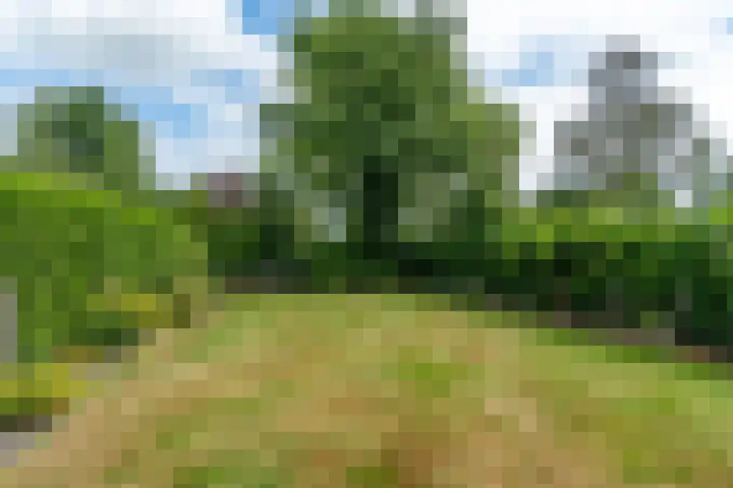 Ferlinge Stasjonsstrjitte 30 De Westereen thumbnail 11
